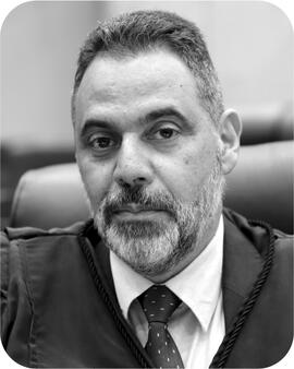 Marcus da Costa Ferreira