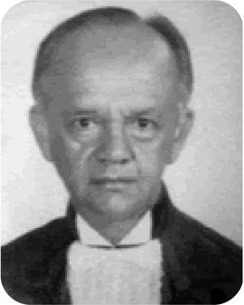 Ulderico Geraldo Rodrigues